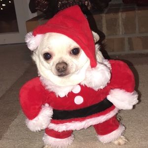 Meet your Posher, Jodi